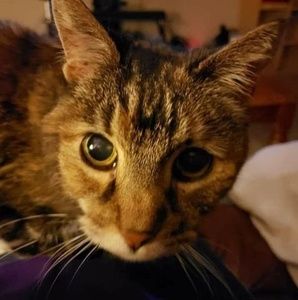 Meet your Posher, Charlene